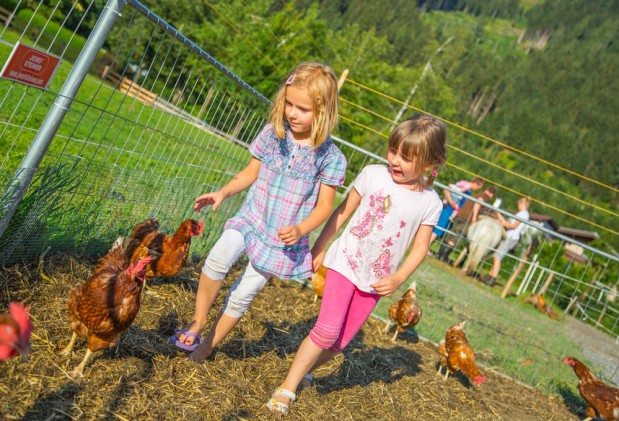 Mädchen spielen mit den Tieren auf dem Bauernhof